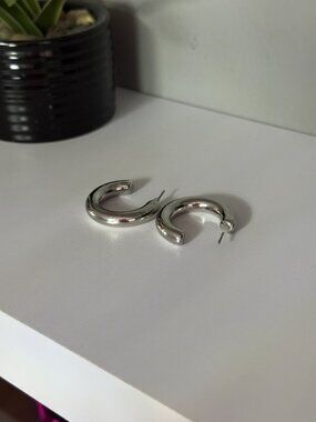 Vestiaire Collective Dannijo Hoop Earrings